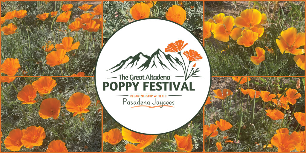 The Great Altadena Poppy Festival