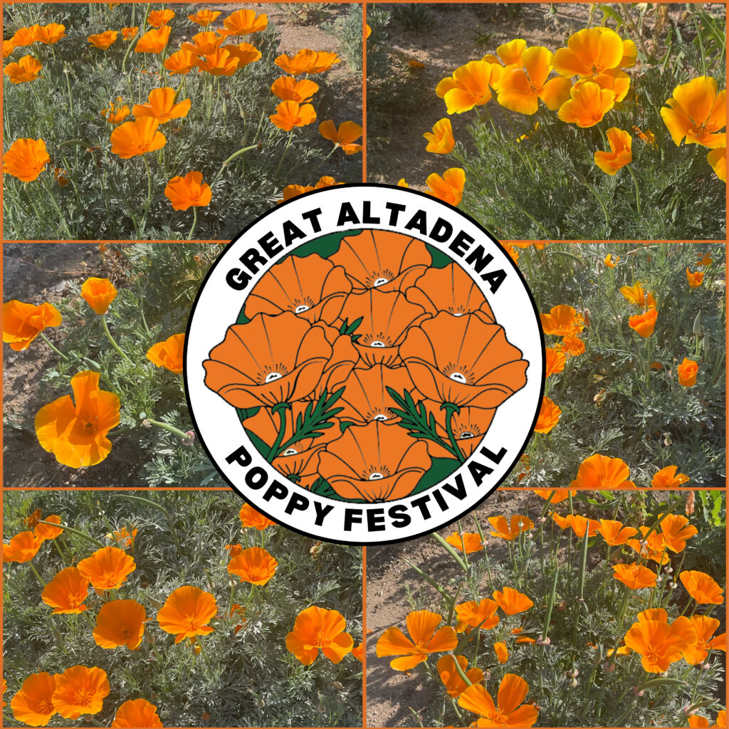 The Great Altadena Poppy Festival